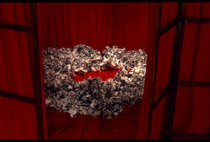 nest made from photocopied feathers, sat on red velvet cushion seen through opening in wooden screens